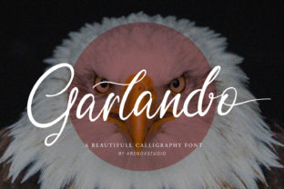 Garlando: A Stylish Font for Business