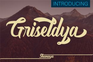 Playful Typography with Griseldya