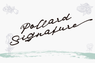 Pollard: A Beautiful Script Font for Crafters