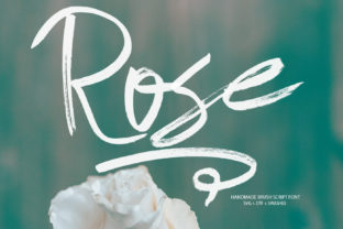 Rose: A Romantic Script Typeface